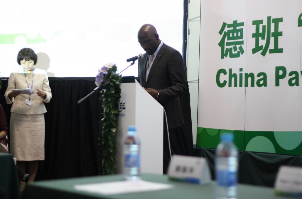 China promotes South-South Cooperation in Durban