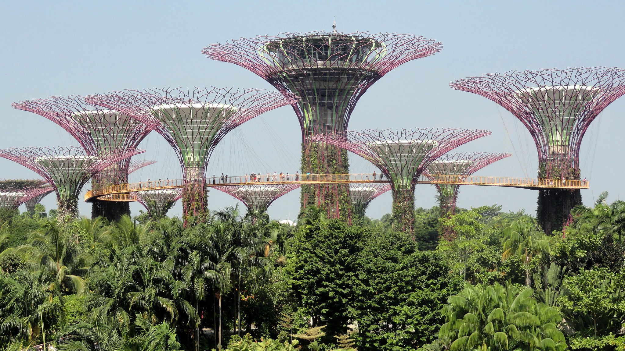Singapore supertrees