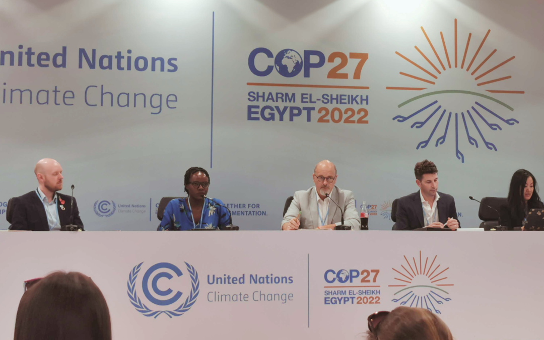 DDL Set to Take the Stage at COP28 Climate Dialogues